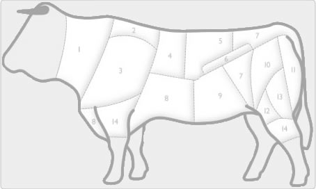 beef anatomy