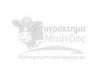 Μπούτι Κοτόπουλο